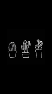 Find the perfect opuntia cactus pattern background stock photo. Cactus Black And White Wallpapers Top Free Cactus Black And White Backgrounds Wallpaperaccess