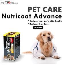 Based on 1 salaries posted anonymously by ez vet veterinary clinic veterinary technician employees in florida. Ez Pet Clinic Pricing The Y Guide