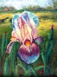 First Iris Artist L A Pace 12x9 Pastel Soft Pastel Art Art Pastel Art