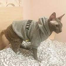guvenlik kedi giysileri moda kucuk kediler icin kedi ceket ceket hoodie kiyafet yelek pet giyim tavsan ha katzen kleidung pullover fur katzen tiere in kleidung