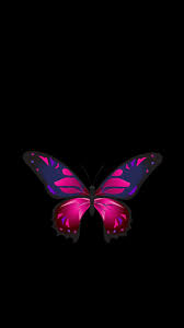 Butterfly Dark Background Wallpaper Butterfly Background Butterfly Wallpaper