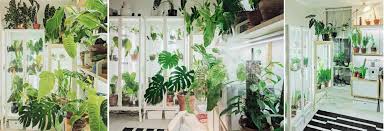 My decision to choose the smaller version of the fabrikor was based on space and the design. Ikea Cabinet Greenhouse Hacks Are The Plant Trend You Need To Know About