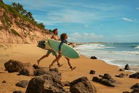 Image result for Surfing