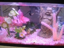 Pin By Suzi Mansell On Fish Tanks Fish Tank Themes Fish Tank Decorations Pink Fish