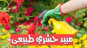 طريقة عمل مبيد حشري و فطري منزلي طبيعي in 2021 herbs