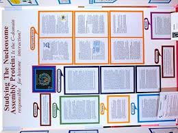 If you did any calculations, include a few full examples of how the calculations were! Science Fair Project Display Boards