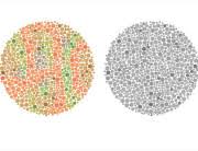 Saya dulu sering memainkan game ini sewaktu sd.permainan yg cukup simpel dan menarik,cukup pakai pinsil dan selembar kertas aja.here we go. Buta Warna Gejala Penyebab Dan Mengobati Alodokter