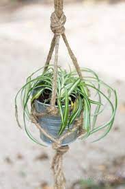 Diy Jute Macrame Plant Hanger Plant Hanger Rope Plant Hanger Macrame Plant Hanger
