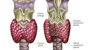 Whether or not you choose to continue treatment to shrink the cancer or control its growth, you can always receive palliative care to control the symptoms of cancer and the side effects of treatment. Death Of Black Panther Star Sheds Light On Young Adults Colon Cancer Risks Cancer Ut Southwestern Medical Center