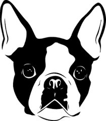 Boston Terrier Boston Terrier Tattoo Boston Terrier Art Boston Terrier Dog