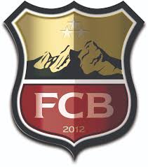 Many different unique designs and colors for your collection display or play. Fc Boulder Harmon Sports Group