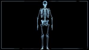 According to the american cancer society, a. Bone Drugs For Prostate Cancer May Result In Survival Benefit