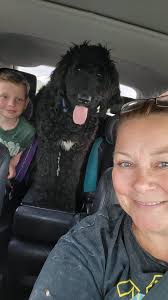 Happy weekend lovers of korra and fans of see Gbege all over the world.  Look at this beauties. Please lets send them love.❤️❤️❤️❤️ #fblifestyle  #mentionedyou #highlights #followers #everyone #friends #family #topfanbadge