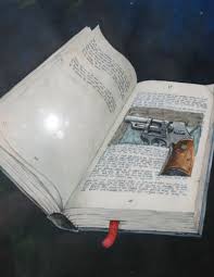 Altijd Al Een Boek Willen Schrijven Maar Je Weet Niet Hoe Te Beginnen Of Het Af Te Maken Lees Dat Dit Maar Eens Boeken Biografieen Spannend Boek