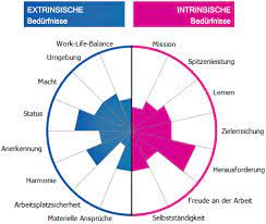 Die besten techniken und handwerkszeuge wie. Mq Bericht Motivations Potential Analyse Intrinsisch Extrinsisch Coaching Training Konfliktmanagement