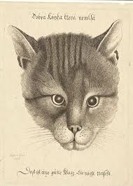 Wenceslas Hollar Etching Of A Cat 17th Century Cat Art Cat Artwork Cats