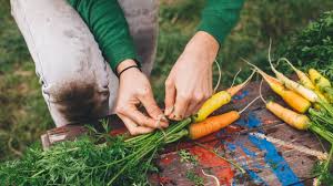 Canning your own food can also save you about half the cost compared to buying canned foods made from factories. In Season Grow Your Own Produce Northwestern Medicine