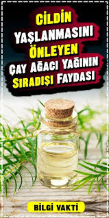 Cildin Yaslanmasini Onleyen Cay Agaci Yaginin Siradisi Faydasi Yaslanma Cil Dogal Cilt Bakimi