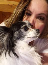 goldendoodle passes away