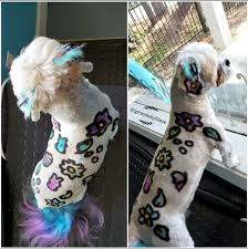 Galia Ivanova (galatsia)