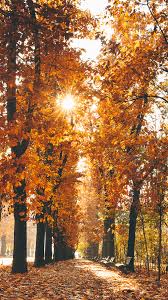 In anul 2019 parintii au apreciat in mod special numele sofia si emma, conform statisticilor din domeniu, ramanand in continuare pe langa numele americane de mai sus, iti oferim si cateva sugestii de nume de fete englezesti, chic si potrivite pentru tinerele domnisoare: Wallpaper Fotografii Fitrini S Wallpaper