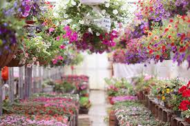 The Best Garden Centres And Nurseries In Kent