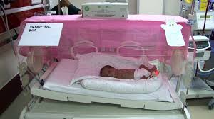 premature bebeklerin yasama sansi el bebek gul bebek