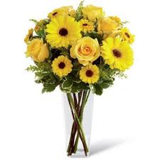 We did not find results for: Yellow Flowers Delivery Flower Delivery New Delhi Online Florist New Delhi