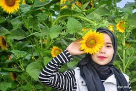 Nah, taman bunga matahari jogja ini bisa dijadikan salah satu alternatif terbaik untuk berlibur bersama dengan keluarga. 4 Wisata Taman Bunga Matahari Yang Lagi Hits Di Jogja Arena Wisata Tour And Travel Terpercaya
