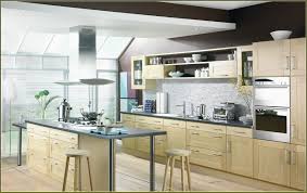 Modern Birch Kitchen Cabinets Birch Kitchen Cabinets Kitchen Plans Kitchen