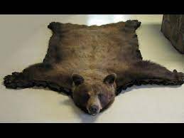 Check spelling or type a new query. Bear Skin Rug Faux Bear Skin Rug Bear Rug