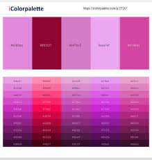 The hexadecimal rgb code of dark orchid color is #9932cc and the decimal is rgb(153,50,204). Light Orchid Paprika Orchid French Lilac Mulberry Color Scheme Icolorpalette