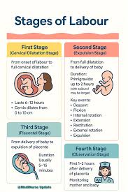 Image result for Active Management of Labor