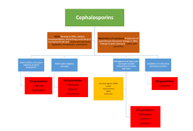 antibiotics chart pdf antibiotics chart antibiotic drug