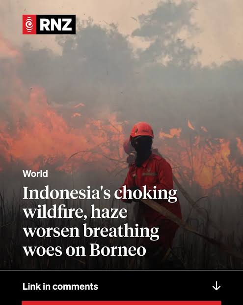 The province of West Kalimantan on Borneo is one of the areas worst hit by  Indonesia's most intense wildfires in 11 years.
