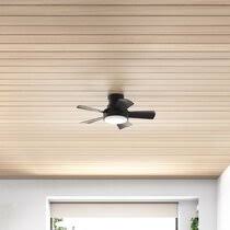 If you're getting it for home use, then setting it up in a large living room makes more sense than trying to fit it into a tiny. Modern Medium Ceiling Fans Allmodern