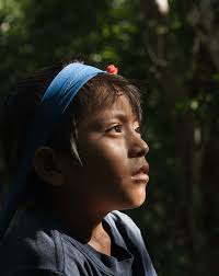 Sección Oficial 2013