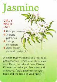 Jasmine Oil Jasmine Essential Oil Living Essentials Oils Jasmine Oil
