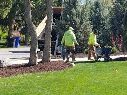Maybe you would like to learn more about one of these? Lawn Care Fertilizing Aerate Sprinkler Repair Landscape Contractors Ksl Services