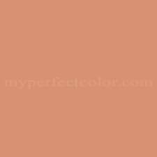 Porter Paints 11141 4 Deep Apricot
