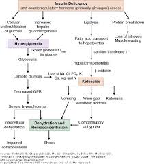 Sodium bicarbonate and diabetic ketoacidosis. Pathophysiology Of Diabetic Ketoacidosis Ppt Diabetestalk Net