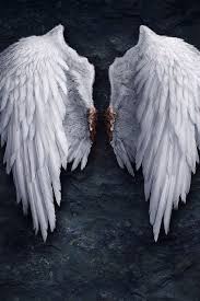 Black And White Angel Wings Aesthetic Ophumanangels Wings Wallpaper White Angel Wings Angel Wallpaper