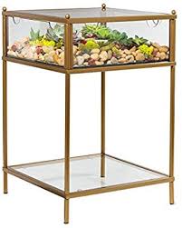 Amazon Com Terrarium Display End Table With Reinforced Glass In Gold Iron Great Kitchen Dining In 2020 Terrarium Display Terrarium Table Glass End Tables