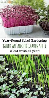 How to build an indoor garden. Best Diy Crafts Ideas How To Build An Indoor Garden Shelf And Grow Fresh Food Indoors All Year Diy Loop Leading Diy Craft Inspiration Magazine Database