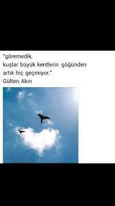 Goremedik Kuslar Buyuk Kentlerin Gogunden Artik Hic Gecmiyor Gulten Akin Goruntuler Ile Ozlu Sozler Edebiyat Siir
