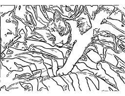 These spring coloring pages are sure to get the kids in the mood for warmer weather. Camo Pattern Coloring Pages Animal Coloring Pages Pattern Coloring Pages Coloring Pages