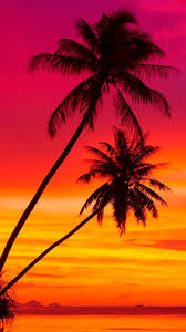 Find the best hd sunset wallpaper on getwallpapers. Beautiful Sunset Wallpaper All Products Are Discounted Cheaper Than Retail Price Free Delivery Returns Off 64