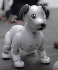 Black And White Robot Dog Sony S New Aibo Robot Dog Is Absolutely Adorable Robot Animal New Technology Gadgets Robot