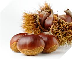 Comment s'appelle le lac au bord … se trouve votre village ? Les Ingredients Du Wagashi Apprendre Wagashi