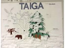 Biome Poster Project by Leslie Gilmer